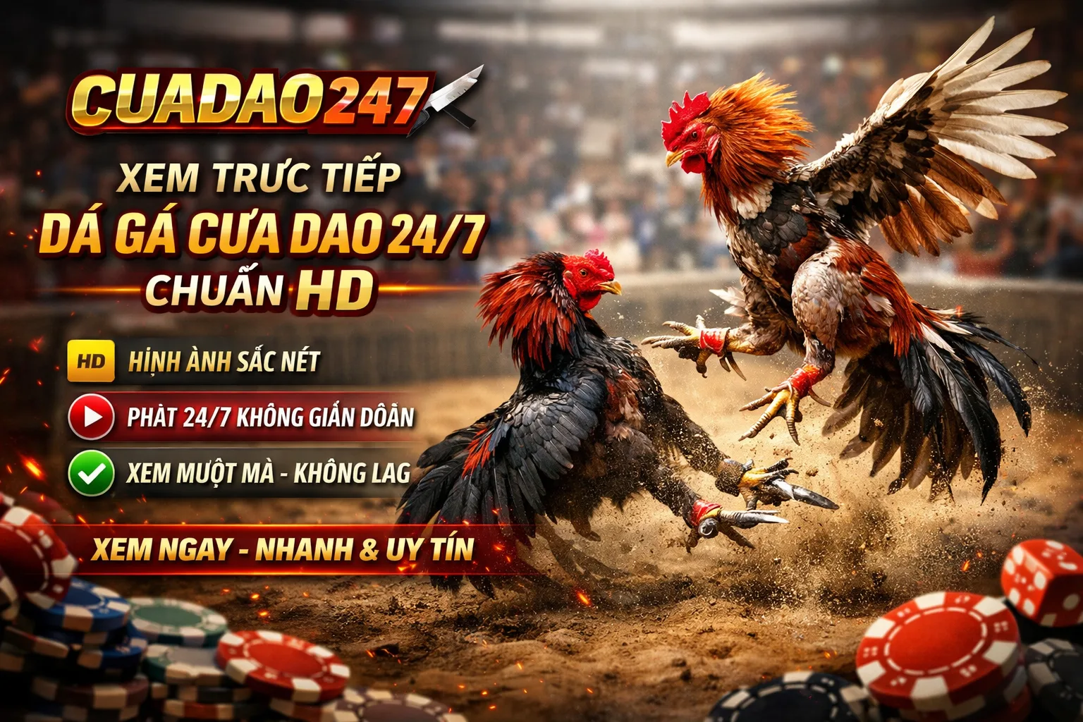 Hướng Dẫn Xem Đá Gà Trực Tiếp Chuẩn HD – Trải Nghiệm Đỉnh Cao Tại Nhà